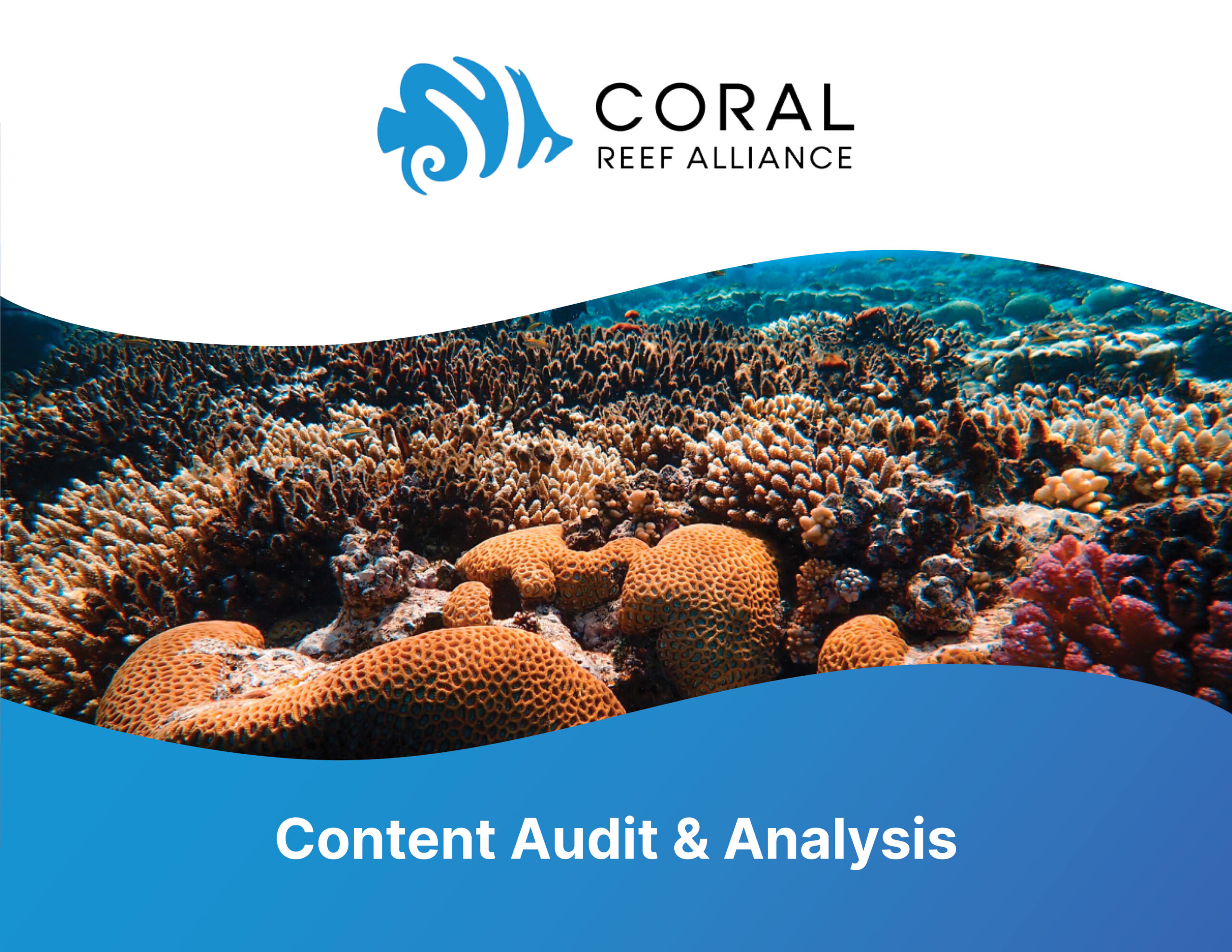 Website Content Audit & Analysis: Coral Reefs